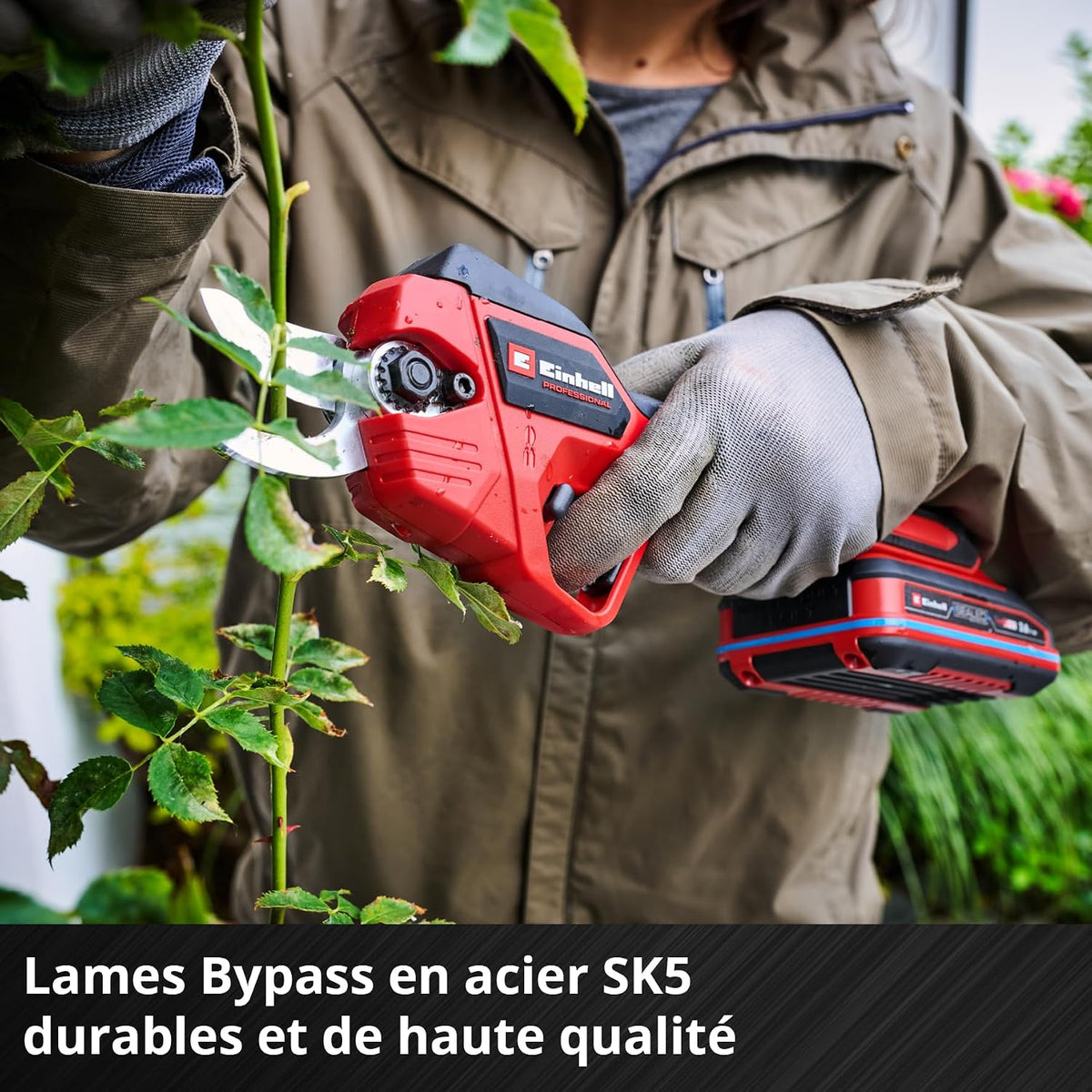 Einhell Professional Cordless Pruning Shears GP-LS 18/28 Li BL-Solo Power X-Change (18V, Adjustable Cutting Capacity, Max Branch Thickness 28mm, Bypass Blades, Belt Clip, Without Battery)