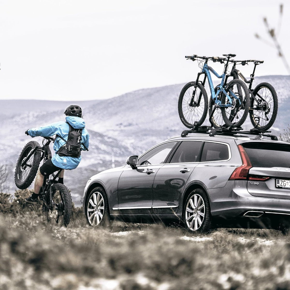 Thule 598001 Dachträger-Fahrradhalter, 20 kg, Rahmen- & Radhalterung, TÜV/GS, Schloss, Schwarz